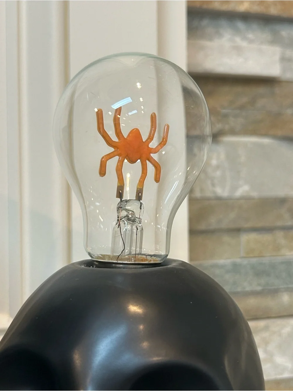 Ashland Black Skull Accent Light-Up Decoration with Spider Bulb